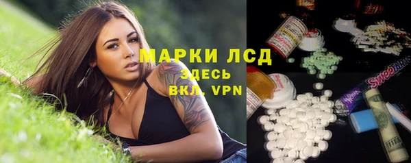 прущий лед Новозыбков