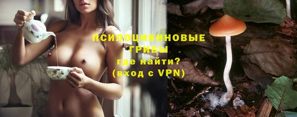 мдпв Вуктыл