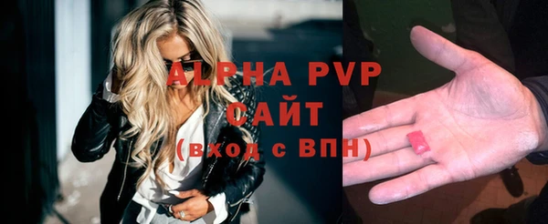 прущий лед Новозыбков