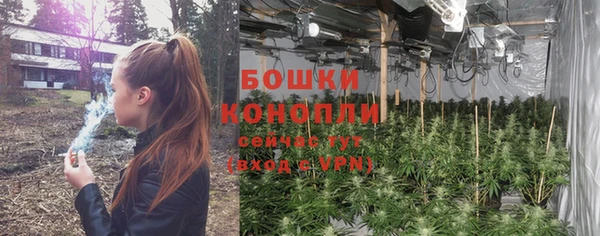ешки Новокубанск