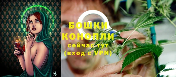 прущий лед Новозыбков