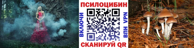 купить   Островной  Псилоцибиновые грибы MAGIC MUSHROOMS 
